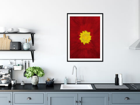 Poppy,Fine,Art,Print,horoscope art, Astrology art, astrological art, zodiac art, zodiac painting, astrology print, zodiac print, birthchart print, esoteric art, esoteric print, abstract art, abstract painting, planet art, age of Aquarius art, Aries art print, Taurus art print