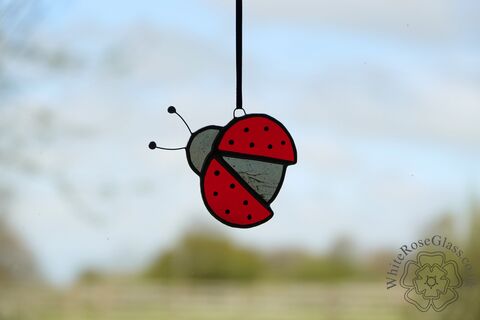 Ladybird/Ladybug,Suncatcher, Hanger, Gift, Home Decoration, Ladybird, Ladybug