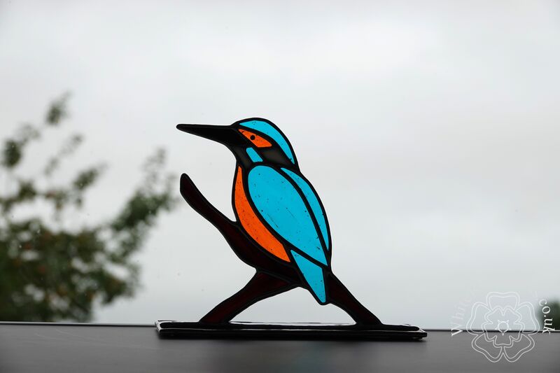 Freestanding Kingfisher On Branch - product image  