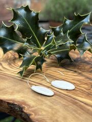 Red Berry Earrings - product images 2 of 3