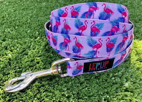 FLAMIN,FLAMINGOES,Flamingo dog lead new design fashion dog collar pink 