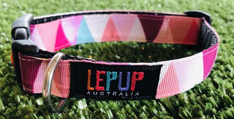 PRETTY,GEOMETRICAL,Webbing