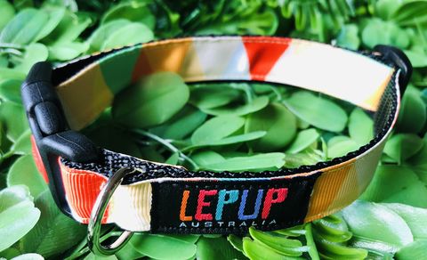 CITRUS,GEOMETRIC,Geometric citrus orange dog collars fashion triangles 