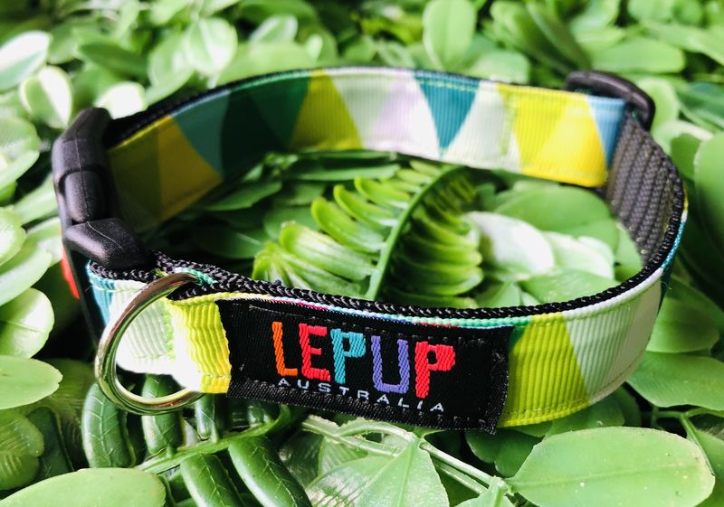 GREEN GEOMETRIC - product images  of 