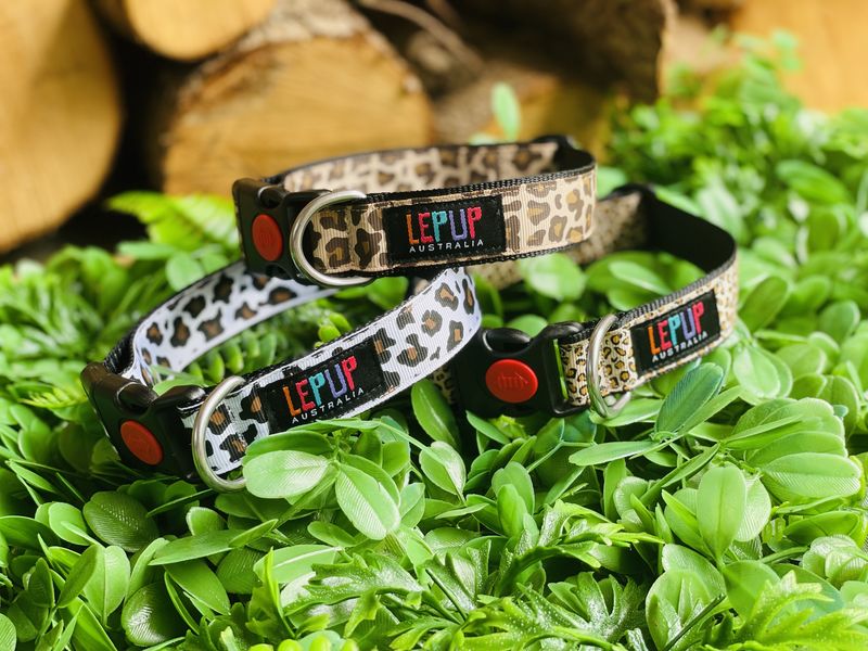 ITTY BITTY LEOPARD - product images  of 
