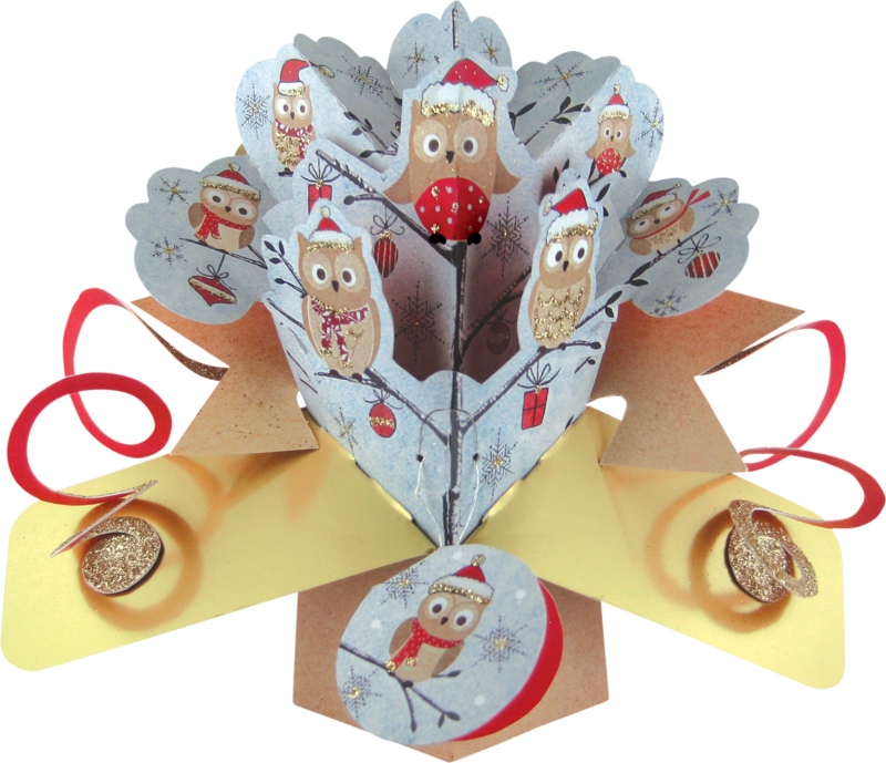 Second Nature Xmas Pop Ups - Owls - product images