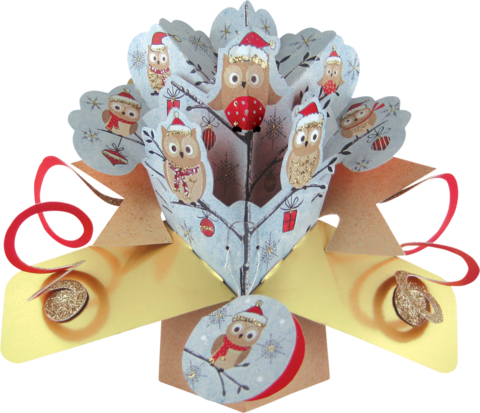 Second,Nature,Xmas,Pop,Ups,-,Owls,Second Nature Pop Ups, Original Pop-ups, Pop up greeting card, Pop up, Pop-up, Pop-ups, Christmas Pop Up, Xmas Pop Up, Owls