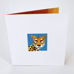 Product images  of 