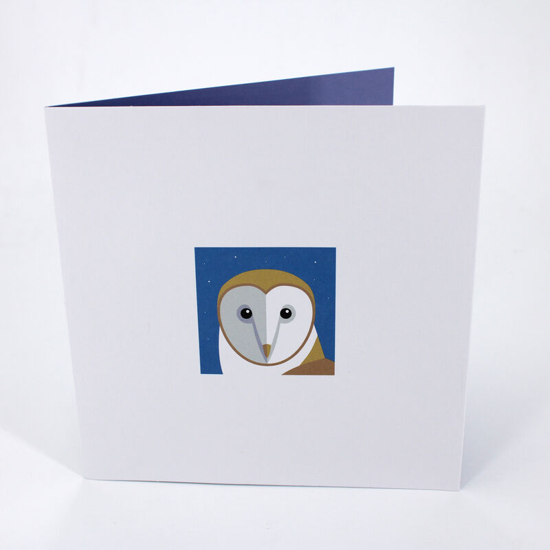 2toTango - Animal Pops: Owl - product images  of 