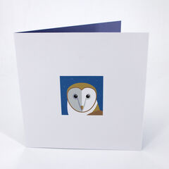 Product images  of 