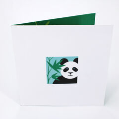 Product images  of 