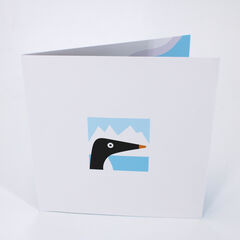 Product images  of 