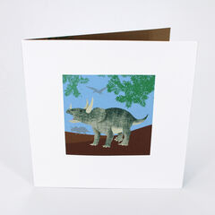 Product images  of 