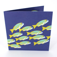 Product images  of 