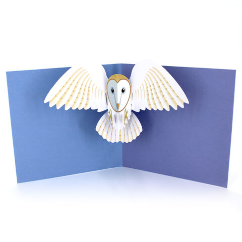 2toTango,-,Animal,Pops:,Owl,Pop Ups, Pop up greeting card, Pop up, 2toTango, Animal, bird, owl