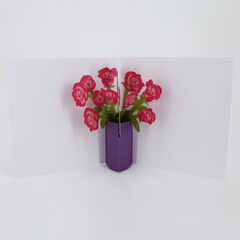 Product images  of 