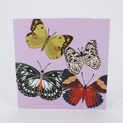 Product images  of 