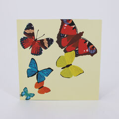 Product images  of 