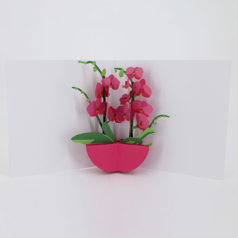 2toTango - Flower Vases: Orchids - product images  of 