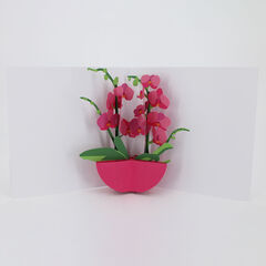 Product images  of 