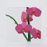 product images  of 