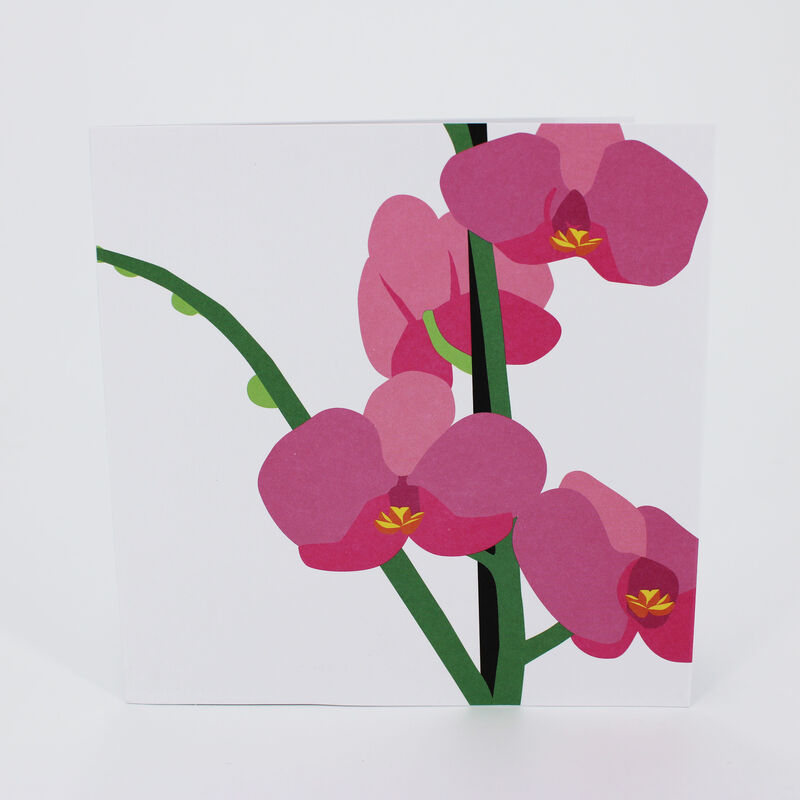 2toTango - Flower Vases: Orchids - product images  of 