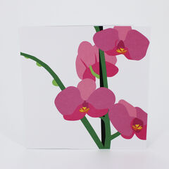 Product images  of 