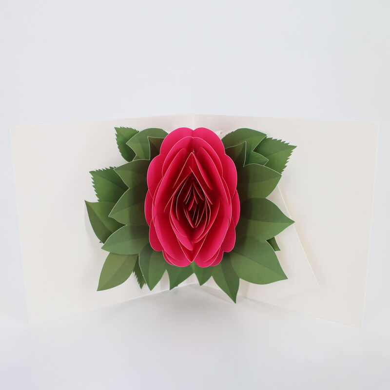 2toTango - Simply A Rose: Pink - product images  of 