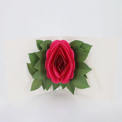 Product images  of 