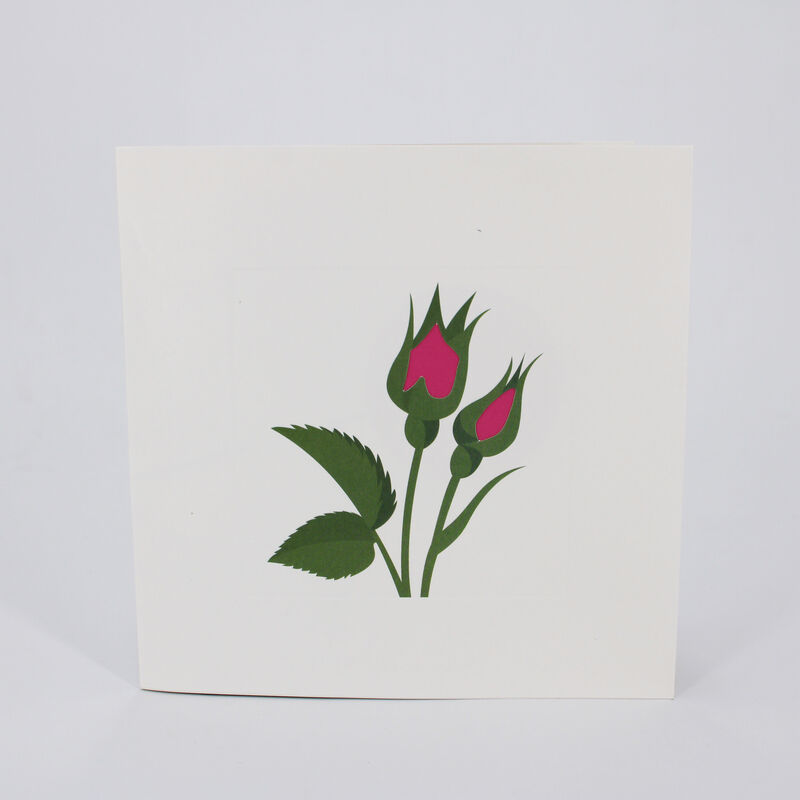 2toTango - Simply A Rose: Pink - product images  of 