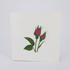 Product images  of 