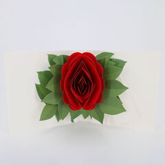 Product images  of 