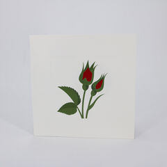 Product images  of 