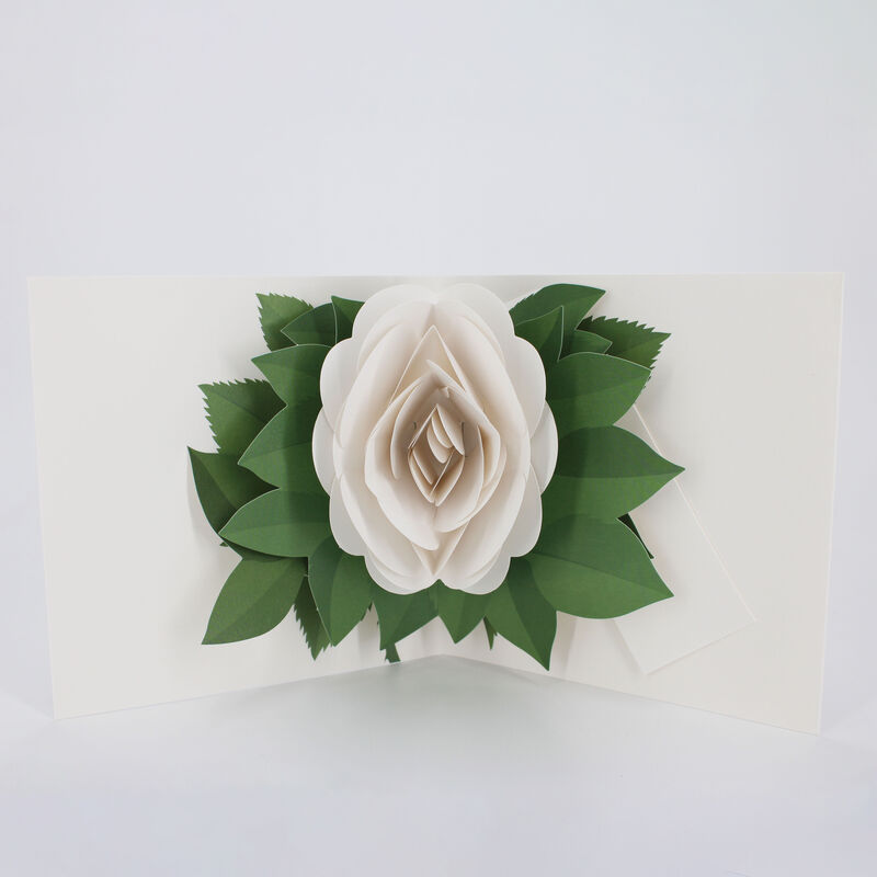 2toTango - Simply A Rose: White - product images  of 
