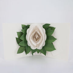 Product images  of 