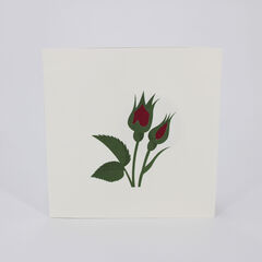 Product images  of 