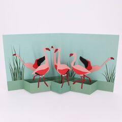 Product images  of 
