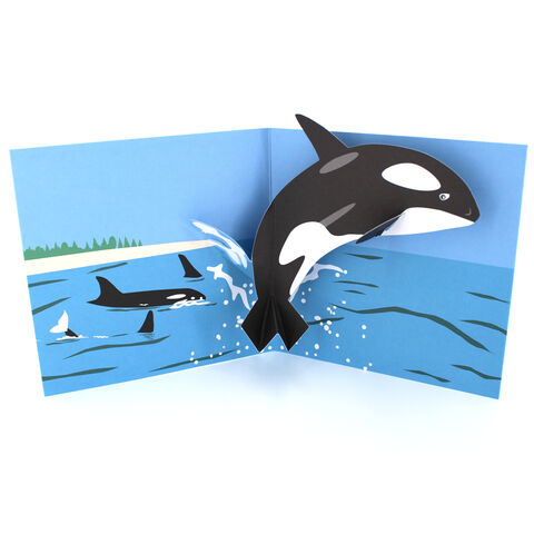 2toTango,-,Sea,Creatures:,Whale,Pop Ups, Pop up greeting card, Pop up, 2toTango, sea, creatures, whale