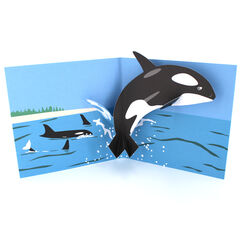 Product images  of 