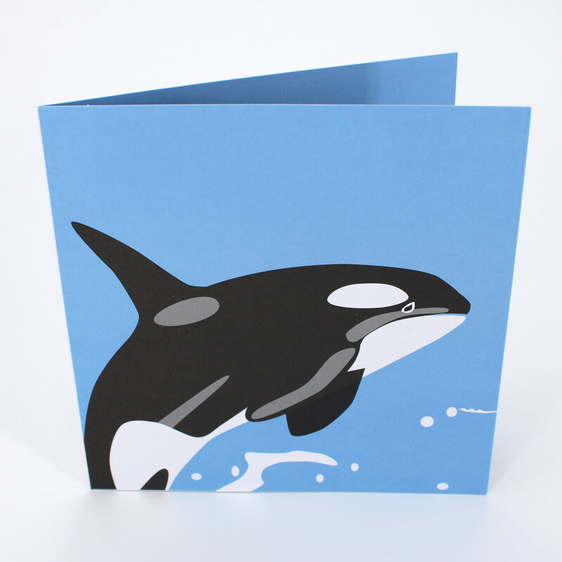 2toTango - Sea Creatures: Whale - product images  of 