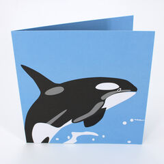 Product images  of 
