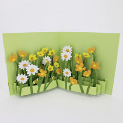 Product images  of 