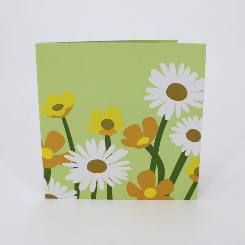 2toTango - Flower Fields: Buttercups & Daisies - product images  of 