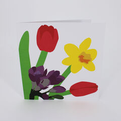 Product images  of 