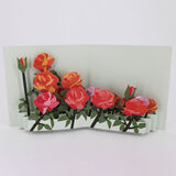 product images  of 