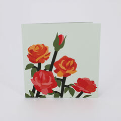 Product images  of 