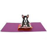 product images  of 