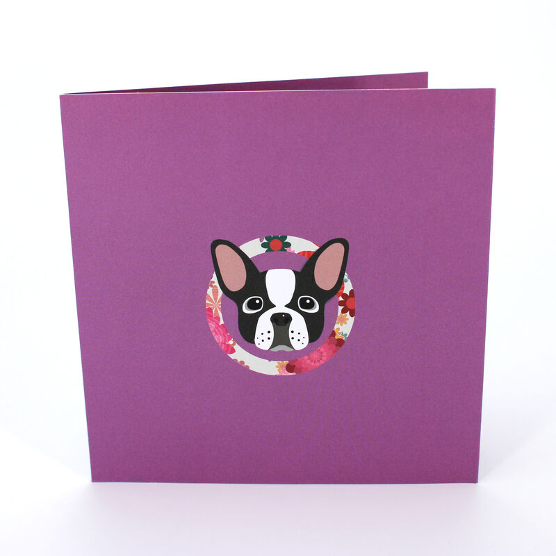 2toTango - French Bulldog - product images  of 