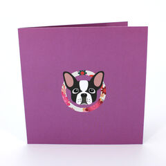 Product images  of 