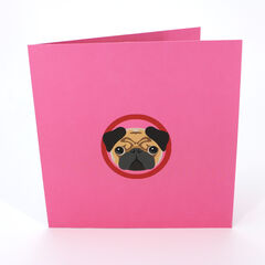 Product images  of 